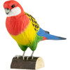WILDLIFE GARDEN DekoBird Eastern Rosella | the design gift shop