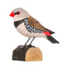 WILDLIFE GARDEN DekoBird Diamond Firetail | the design gift shop