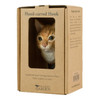 Wildlife Garden Ginger Cat hand-carved hook presented in its sustainable brown gift box packaging.