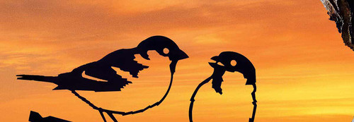 METALBIRD