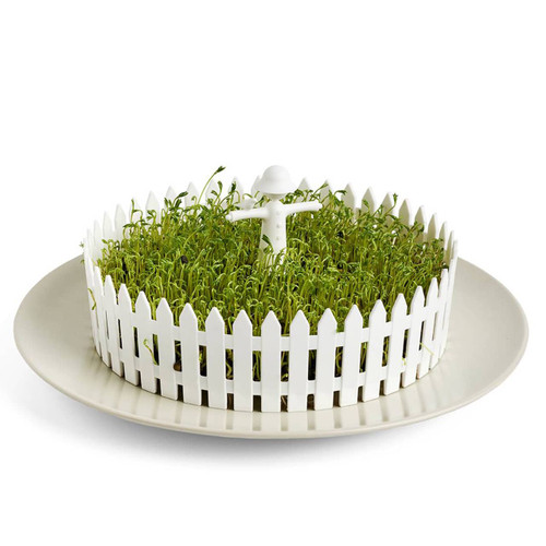 White seed sprouter tray with scarecrow, filled with vibrant green sprouts | the design gift shop.