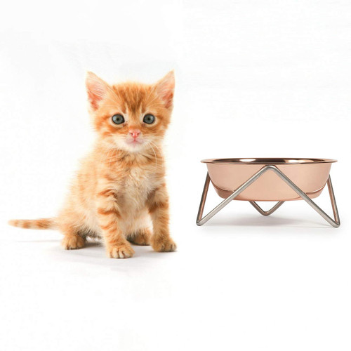 BENDO meow luxe dog bowl copper on chrome | The Design Gift Shop