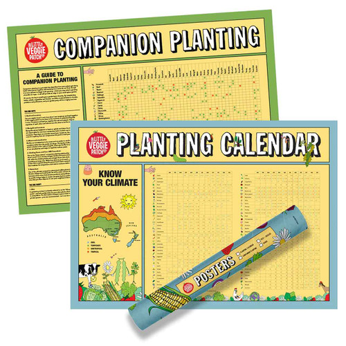 Planting Calendar + Companion Chart Combo by The Little Veggie Patch Co | the design gift shop