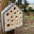 Kikkerland Little Bee House | the design gift shop