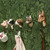 WILDLIFE GARDEN Wall Hooks (only cow hook incl. in offer) | the design gift shop