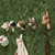 Five wall-mounted WILDLIFE GARDEN Wall Hooks (only cow hook incl. in offer).