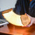 GINGKO Smart Accordion Lamp | Bamboo