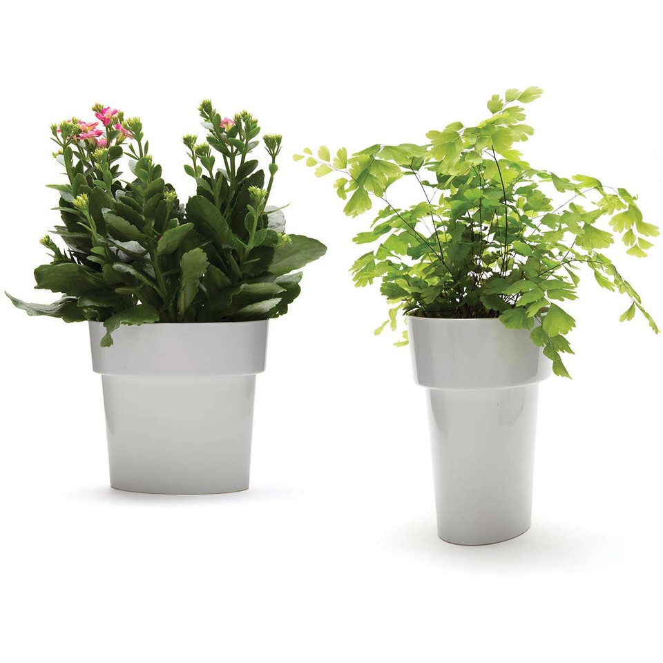 Grey Slim Flower Pot by Monkey Business | the design gift shop
