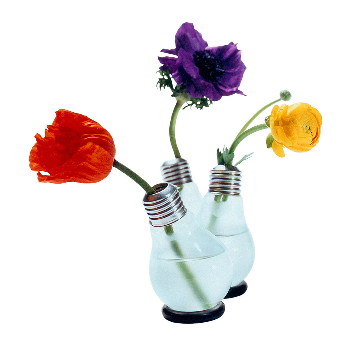 Light Bulb Vase Bluehbirne From Germany The Design Gift Shop