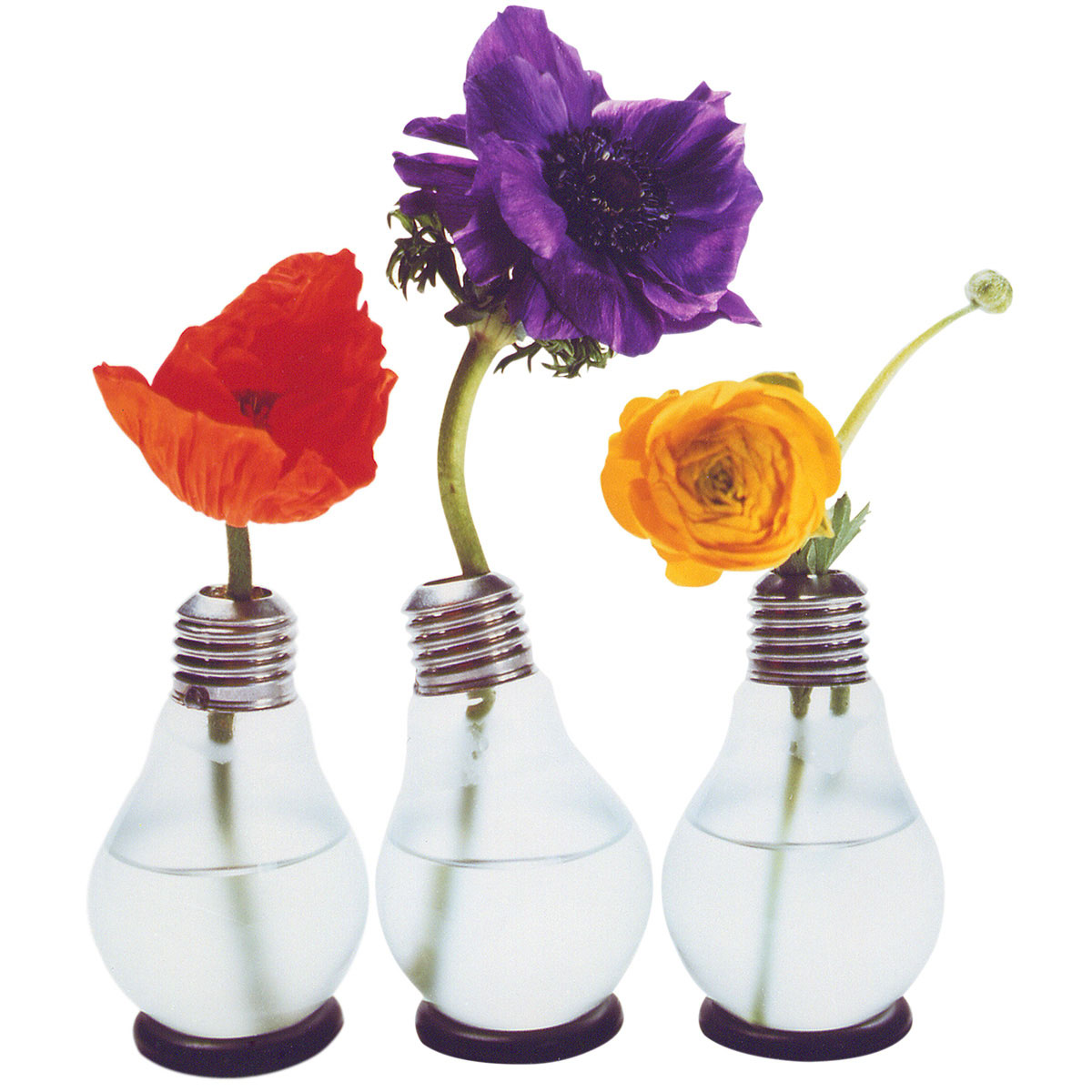 Light Bulb Vase Bluehbirne From Germany The Design Gift Shop