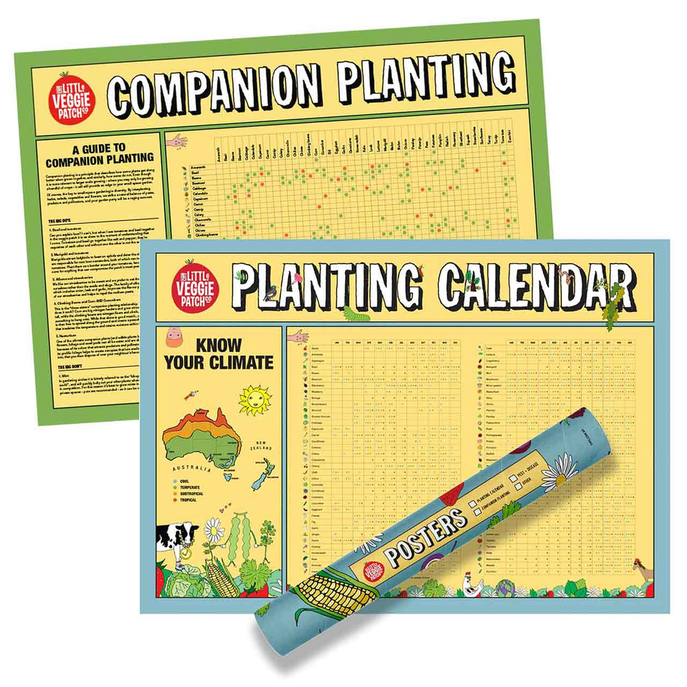THE LITTLE VEGGIE PATCH Co Planting Calendar + Companion Chart the
