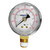 Regulator Gauge - TapRite - 160 PSI