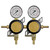 Secondary Regulator - 2 Products - TapRite