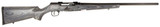 Savage Arms Savage Arms A17 Sporter 17 HMR Semi-Auto Rifle with Gray Laminate Stock 47008