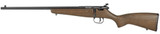 Savage Arms Savage Arms Rascal .22 LR Bolt Action Rifle with Hardwood Stock and Peep Sights 13820