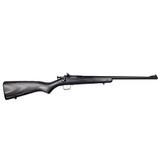 Keystone Sporting Arms Keystone Sporting Arms Crickett .22 LR Single Shot Rifle with Blue Finish and Black Laminate Stock KSA2244
