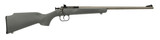 Keystone Sporting Arms Keystone Sporting Arms Crickett .22 LR Single Shot Rifle with Synthetic Gray Stock KSA2448