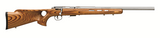 93 BOLT 17HMR SS/LAM THBHL TH 96200