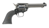22LR BLUE 4.75" FS POLY RR22B4PG