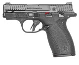 BODYGUARD 2.0 380ACP 10+1 CA 14420