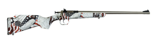 Keystone Sporting Arms Keystone Sporting Arms Crickett 22LR Single Shot Rifle with Stainless Finish KSA3168