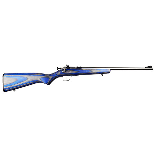 Keystone Sporting Arms Keystone Sporting Arms Crickett 22LR Single Shot Rifle with Blue Laminate Stock KSA2223