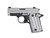 SIG SAUER SIG Sauer P238 TSS .380 ACP Semi-Auto Pistol with Stainless Steel Finish and SIGLITE Sights 238-380-TSS2-CA