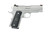 ACP 9MM 4" 10+1 SS ACP-CP-9-SS