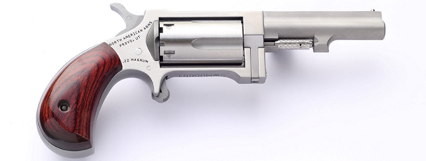 North American Arms North American Arms Sidewinder Conversion Revolver in 22 LR / 22 Magnum - 6 Inch Stainless Steel NAA-SWC-250