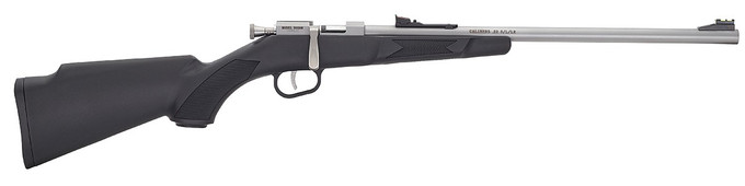 Henry Repeating Arms Henry Repeating Arms H5 Mini Bolt .22 LR Rifle with Matte Stainless Finish and Fiber Optic Sights H005R