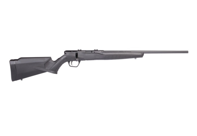 Savage Arms Savage Arms B17F Bolt Action Rifle in 17 HMR with Synthetic Stock and 10-Round Magazine 70800
