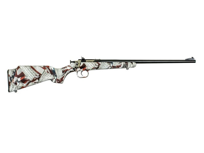 Keystone Sporting Arms Keystone Sporting Arms Crickett .22 LR Single Shot Rifle with Synthetic Stock and Open Sights KSA2168