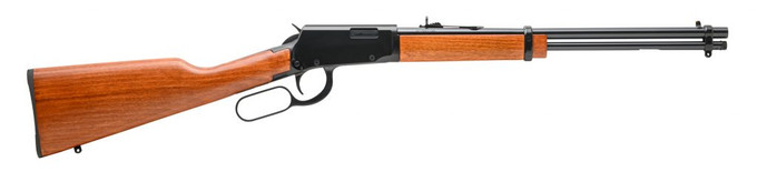 Rossi Rossi Rio Bravo .22 Magnum Lever Action Rifle with Wood Stock and Buckhorn Sights RL22W201WD
