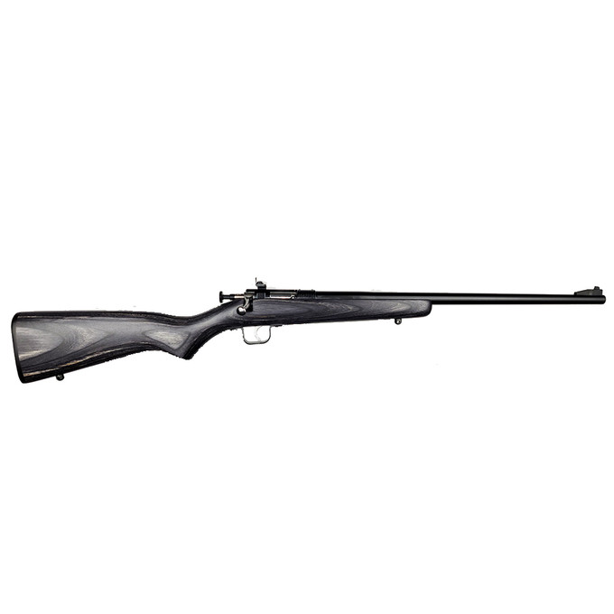 Keystone Sporting Arms Keystone Sporting Arms Crickett .22 LR Single Shot Rifle with Blue Finish and Black Laminate Stock KSA2244