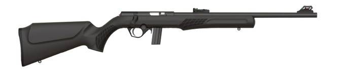 Rossi Rossi RB22 .22 LR Bolt Action Rifle with Matte Black Finish and Synthetic Monte Carlo Stock RB22L1811