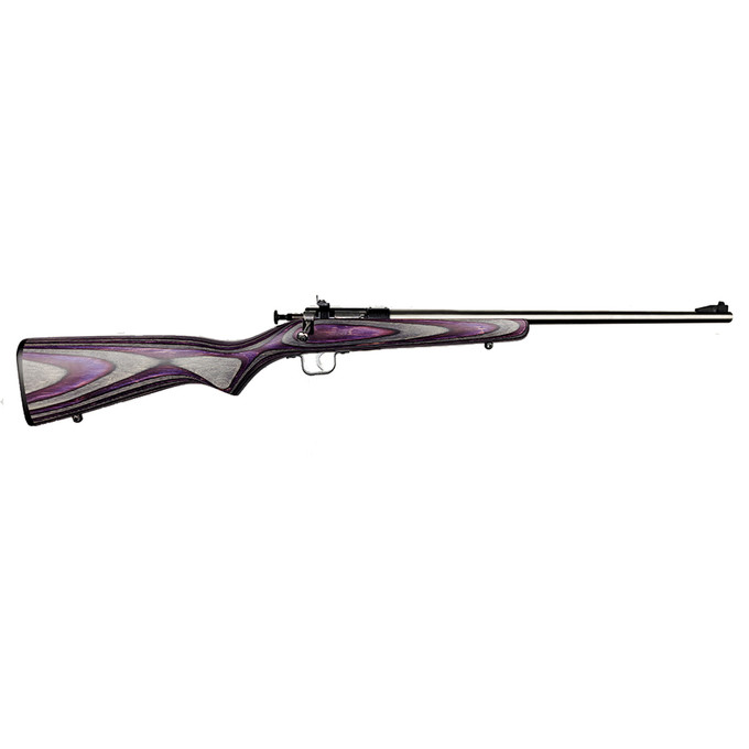 Keystone Sporting Arms Keystone Sporting Arms Crickett .22 LR Single Shot Rifle with Purple Laminate Stock KSA2228
