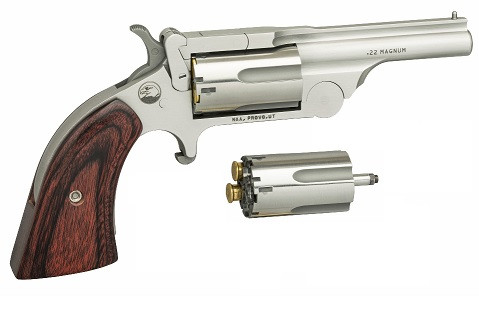 RANGR II 22LR/22MAG 2-1/2" SS NAA-22MC-R250