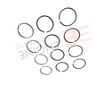 Piston Ring Set For BMW F20 F21 F22 F23 F30 2.0 Diesel N47D20C N47D20A N47D20B 520D N47D20