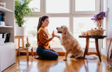 Natural Health for Your Dog