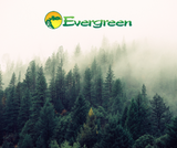 Evergreen Herbs: A Commitment to Purity, Safety, and Quality