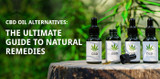 CBD Oil Alternatives: The Ultimate Guide to Natural Remedies