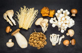 What are Medicinal Mushrooms?