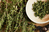 Plant-Based Power: Exploring the Role of Herbs in Holistic Health and Nutrition