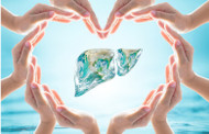 Supporting the Liver with SLF Forte
