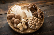 Mushrooms for Wellness