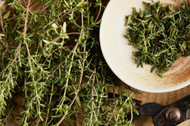 Plant-Based Power: Exploring the Role of Herbs in Holistic Health and Nutrition