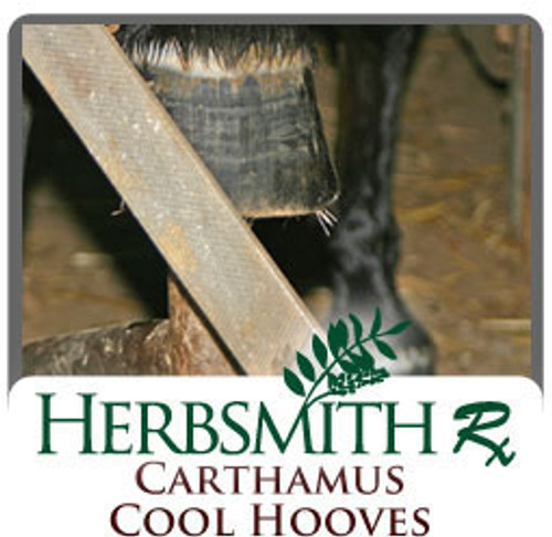 Carthamus Cool Hooves 500 grams