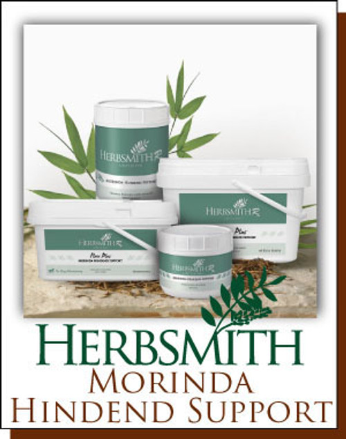 Morinda Hindend Support 500 grams