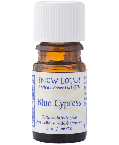 Blue Cypress Essential Oil 5 milliliters