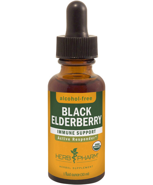 Black Elderberry Alcohol-Free 1 oz